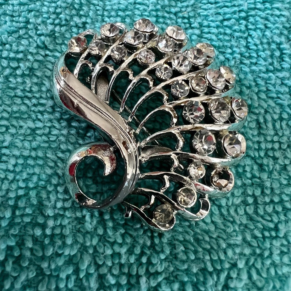 Intricate Silver Brooch with Filigree Design